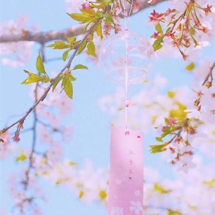 苍井优（饰 高荷惠） - 影视解说合集在线观看 - 电脑观看
